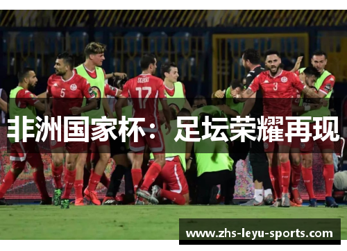 非洲国家杯：足坛荣耀再现